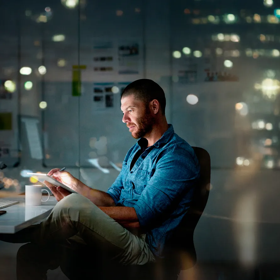 What is Web Hosting Spanish  