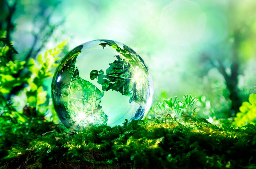 Crystal globe in a fresh green forest