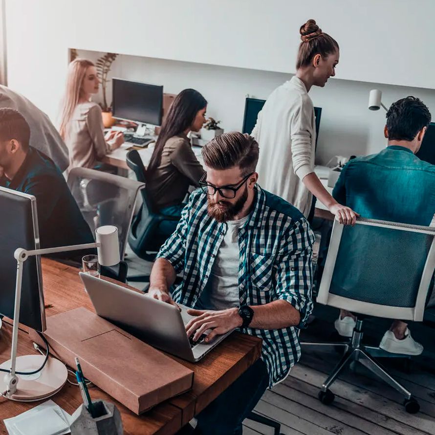 In an office, surrounded by many colleagues, a young man types on his computer to consult the Whois of Domains